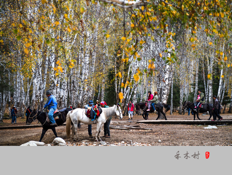 6420554420161206001759026_640