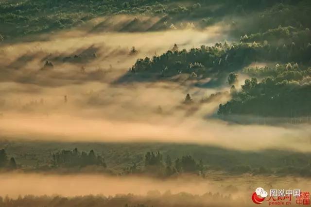 微信图片_20170630155103