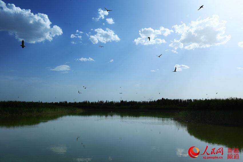 新疆相思湖畔风光美（组图）【10】