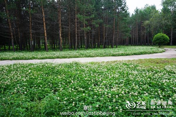 海兰泡，可知道布拉戈维申斯克不是你真姓
