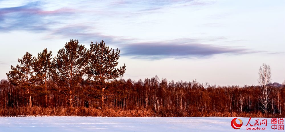 151119z7gjgg2xax2exj2j