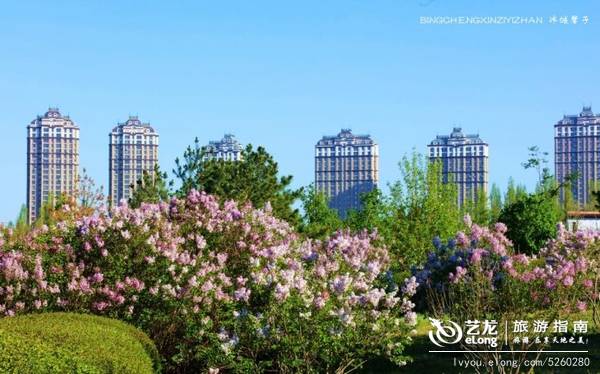 冰城春天的浪漫盛事，流连在丁香园飘香的花海