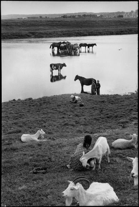 1954年布列松镜头下的苏联莫斯科【2】 - 沉默的麻雀 - 沉默的麻雀的博客
