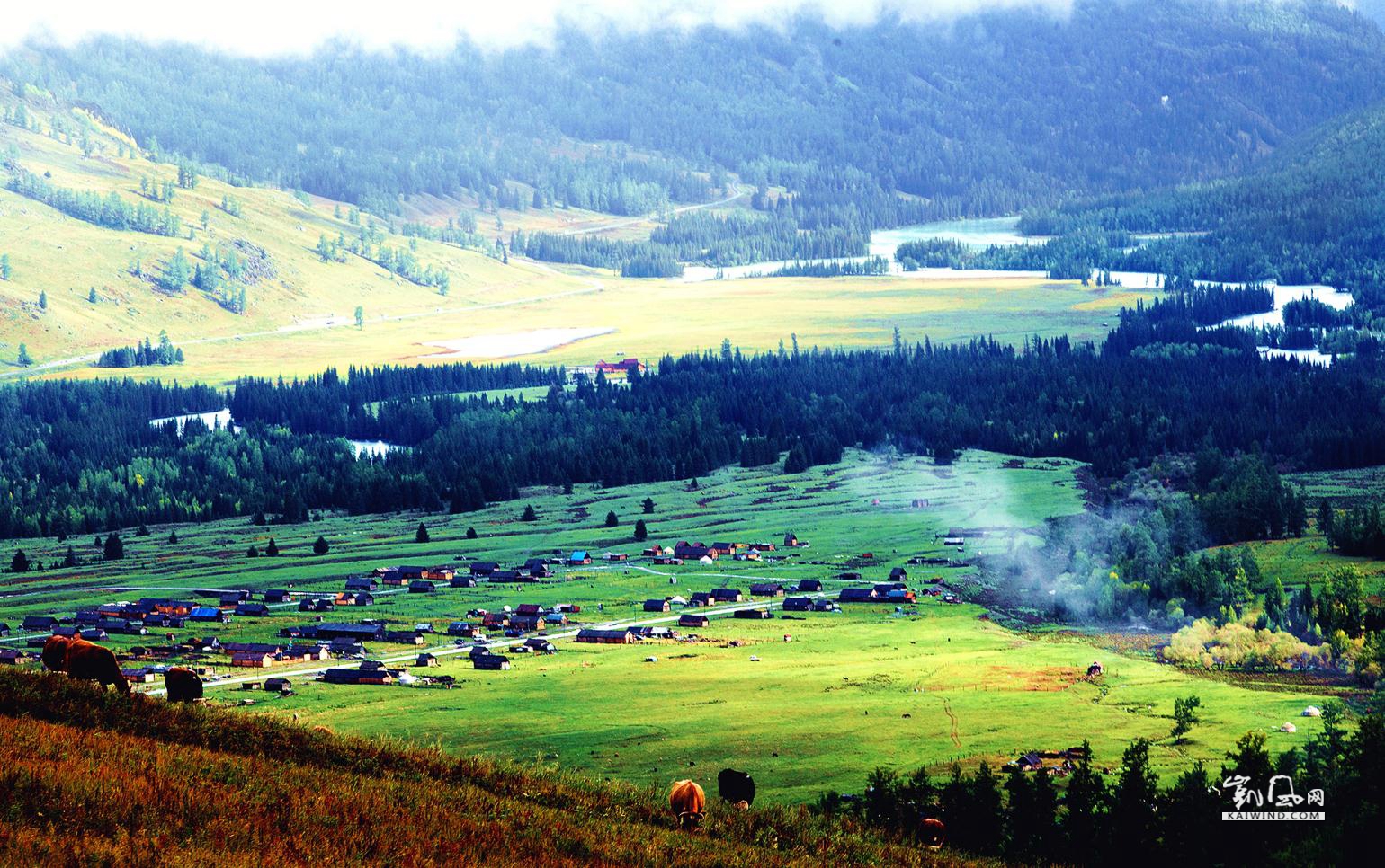 360截图20170323102750402