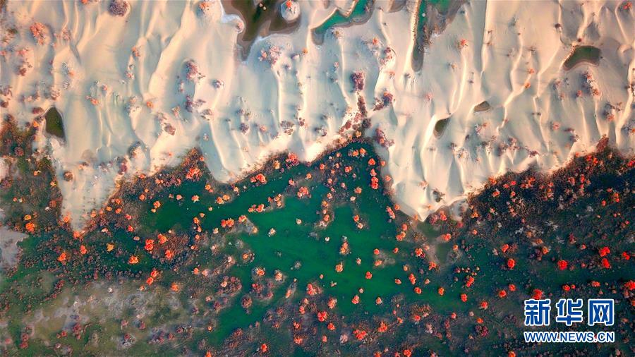 #（环境）（1）秋到塔里木