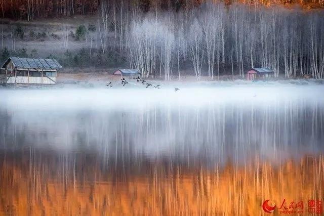 微信图片_20171011093029