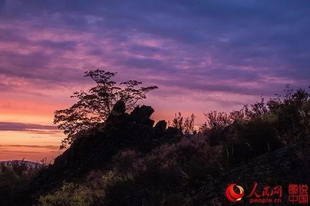 微信图片_20171009101632