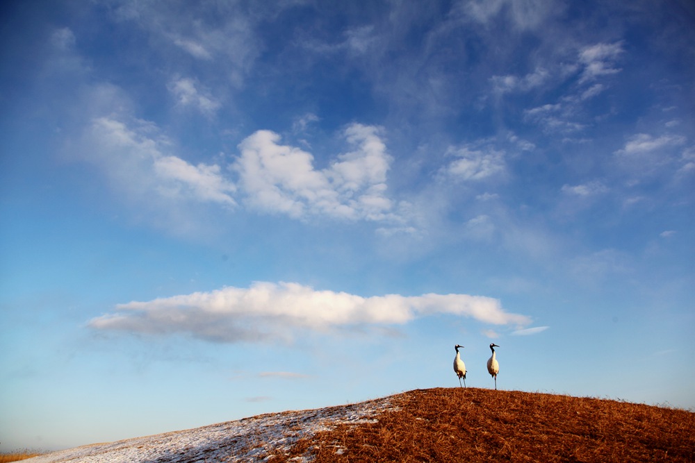 194639ekcuz1tt1a7u55t3