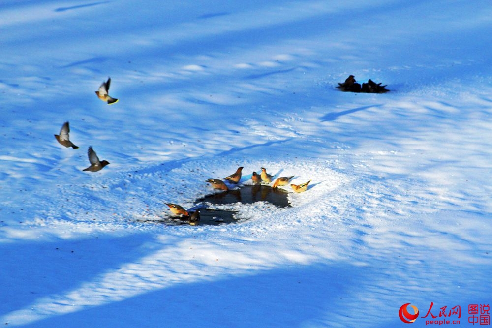 161919tzqq7atdi0t7e872