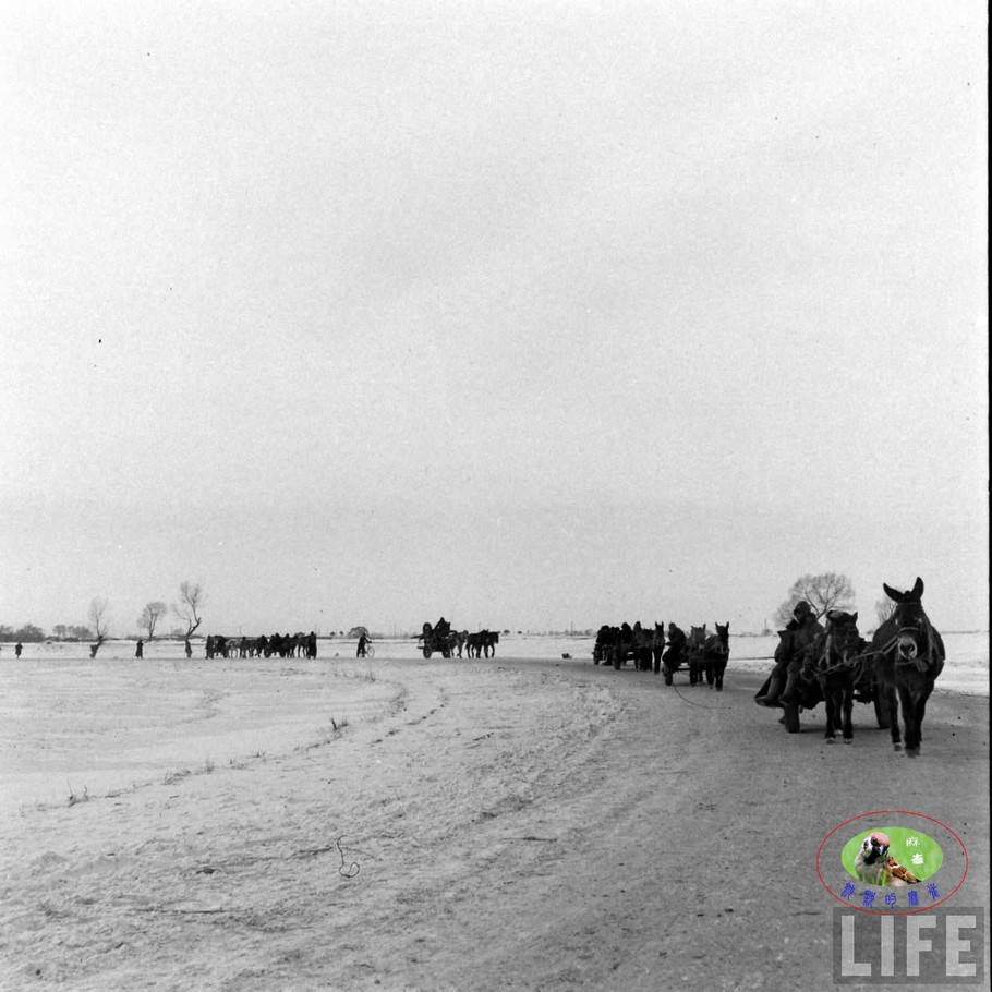 48年辽沈大战前的沈阳奉天的景象【二】 - 沉默的麻雀 - 沉默的麻雀的博客