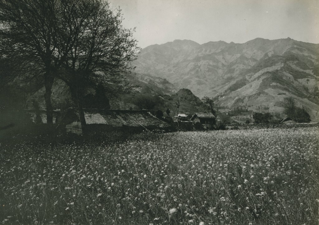 1909年美国地质学家张伯林拍摄的晚清影像（大竹、南充、灌县、成都、乐山、宜宾）（2） - 沉默的麻雀 - 沉默的麻雀的博客