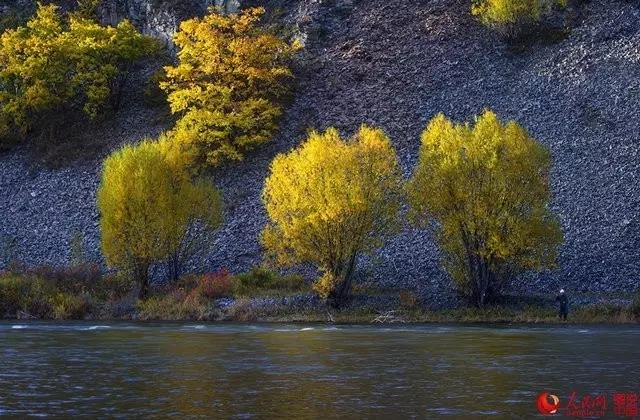 微信图片_20170919164243