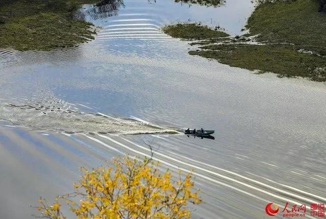 微信图片_20171009101124