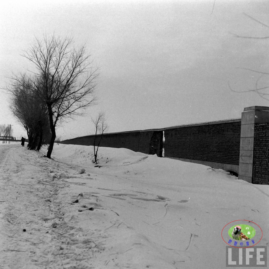 48年辽沈大战前的沈阳奉天的景象【一】 - 沉默的麻雀 - 沉默的麻雀的博客