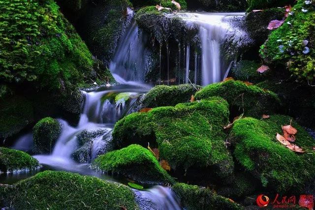 微信图片_20171025161419