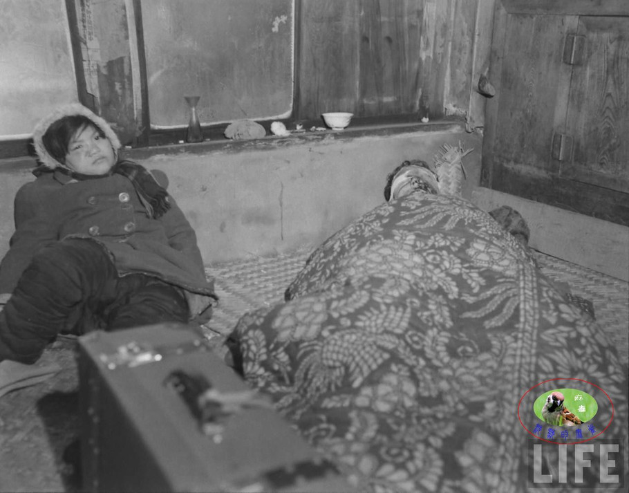 48年辽沈大战前的沈阳奉天的景象【三】 - 沉默的麻雀 - 沉默的麻雀的博客