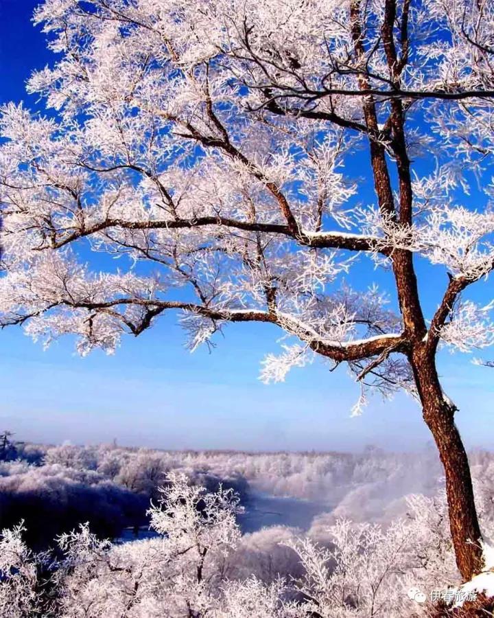 微信图片_20171122155047