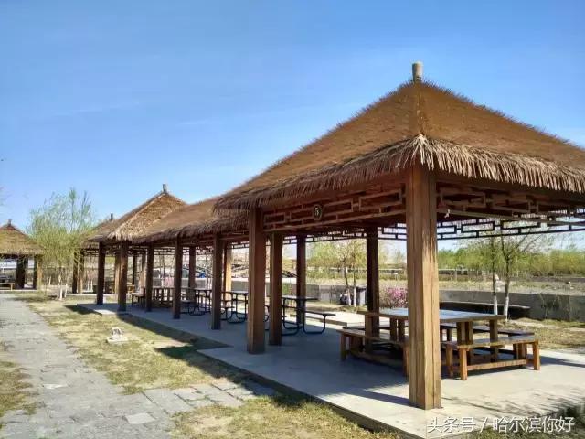 哈尔滨新景：江河之间有一座“莲花岛”，站在58米高的观音脚下