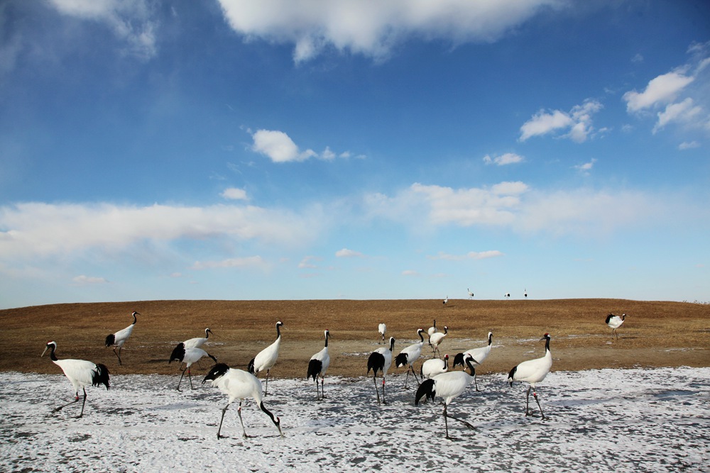 193656yuood338exi4xg2u