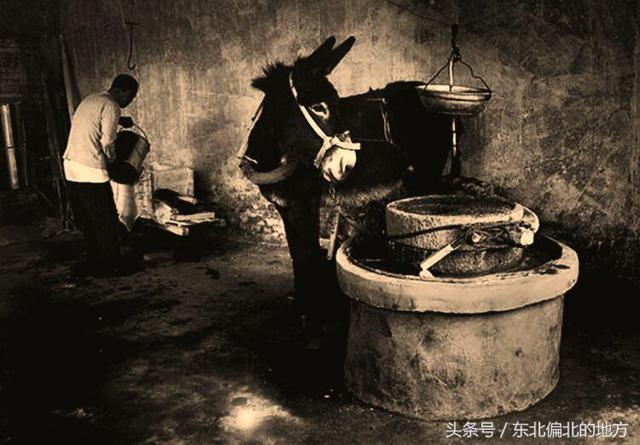 那些渐行渐远东北农村生活的记忆