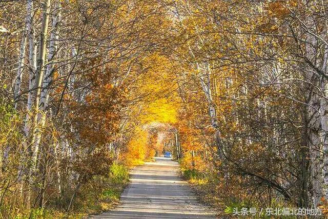 兴凯湖秋天的诱惑