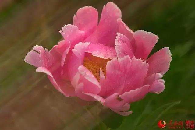 微信图片_20170705154930