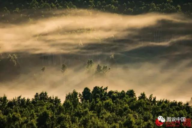 微信图片_20170630155100