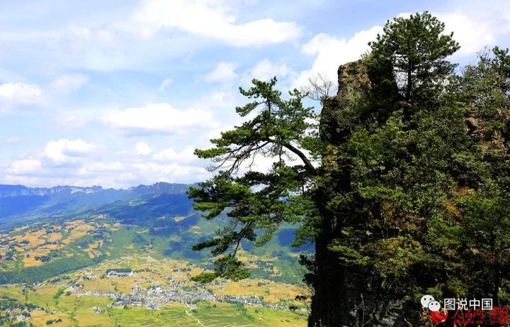 微信图片_20171121161735