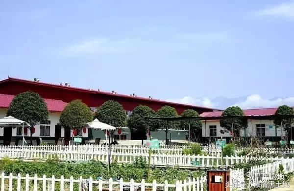 郭春艳：老爸老妈的幸福生活