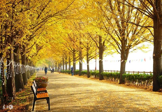 一路前行 / 何荣