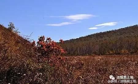 岳静华：彩虹大地