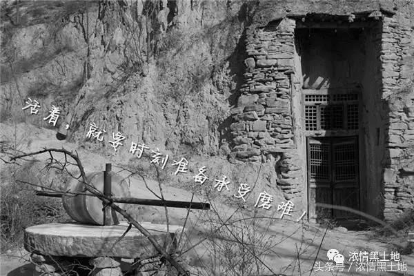 张蕊：《平凡的世界》悟语