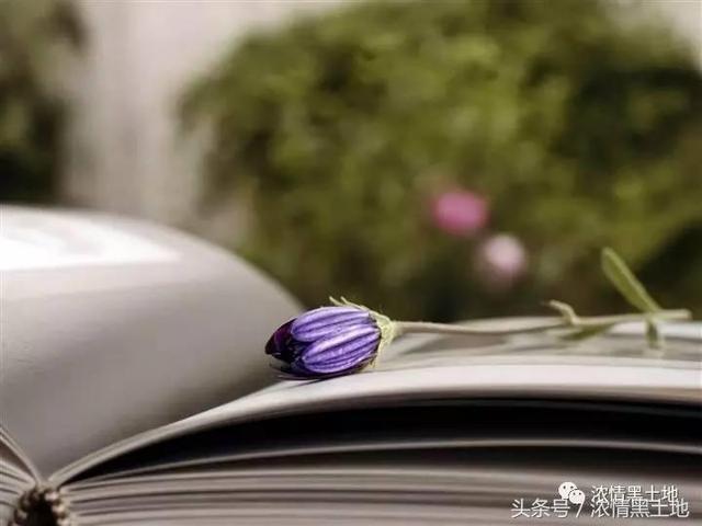 陆秀娟｜学生，我永远的牵挂