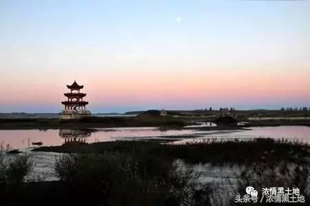 岳静华：彩虹大地