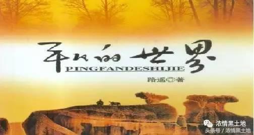 张蕊：《平凡的世界》悟语