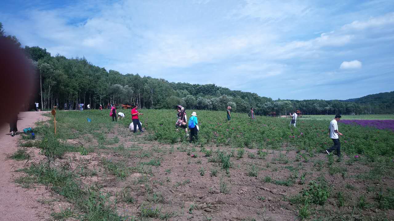 微信图片_20170904161421