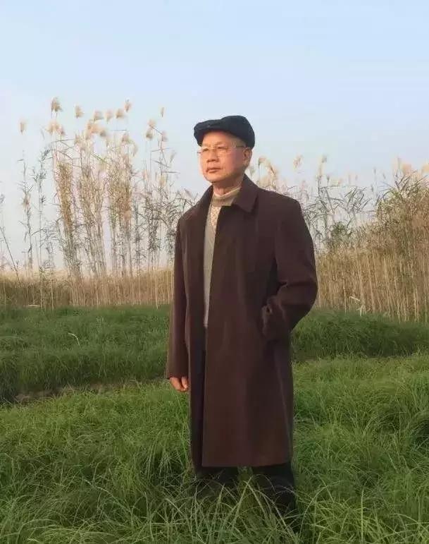 大塘颂歌 / 卢阳兴