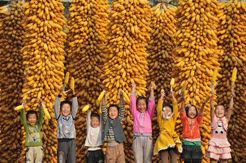 1c6f6506c79513f99d0901